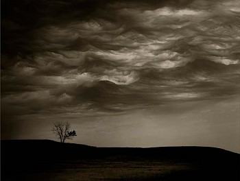 Jack Spencer -&nbsp;Jack Spencer Cloud/Trees, South Dakota