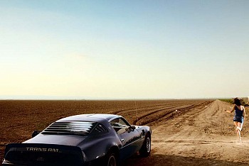 David Drebin -&nbsp;David Drebin Trans Am