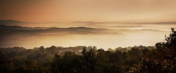 David Drebin -&nbsp;David Drebin Tuscan Dreams