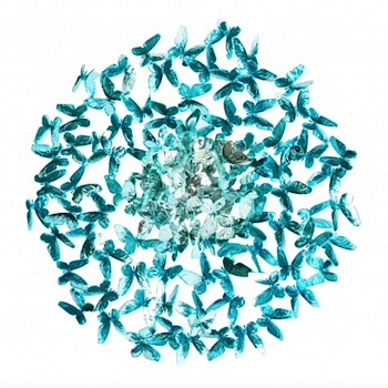 Work: Roman Feral Circle Of Life (AQUA)