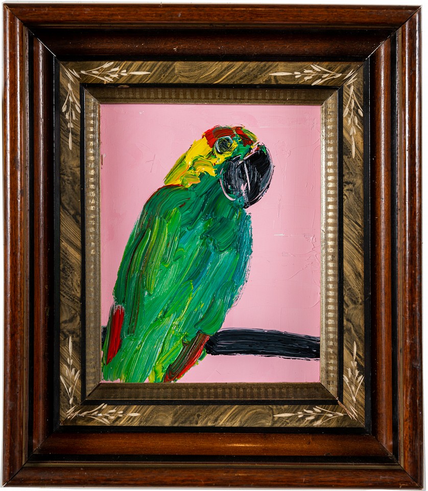 Hunt Slonem, Amazon
Original Oil on Canvas, 16 x 14 in.