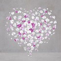 Isabelle van Zeijl, Sweet Heart
2025, Dye Sublimation Aluminum with White Frame