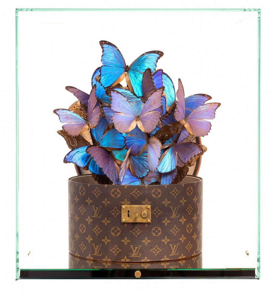 Roman Feral, LOUIS VUITTON BOITE CHAPEAU, 2024
Original Vintage 70’s, Louis Vuitton Hatbox, Preserved Rare Natural Butterflies, Glass and Mirror Display, 24K Gold Engraved Signature Plate, 21 1/4 x 18 7/8 x 16 7/8 in.