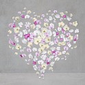 Isabelle van Zeijl, Blooming Heart
2025, Dye Sublimation Aluminum with White Frame